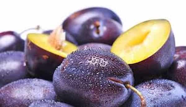 تصویر 3 از خرید و قیمت آلو جنگلی سیاه + فروش عمده